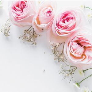نقد و بررسی استیکر کاشی طرح pink flower بسته 15 عددی توسط خریداران
