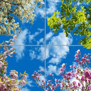 تایل سقفی آسمان مجازی مدل AZ22054 سایز 60*60 سانتی متر مجموعه 4 عددی
