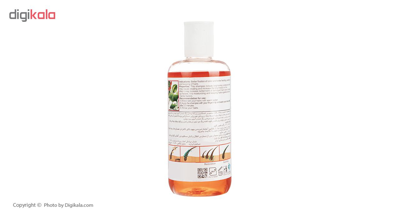 شامپو مو لایف استایل مدل Ginkgo Biloba Cra Aegus حجم 300 میلی لیتر