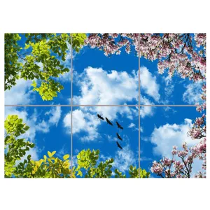 تایل سقفی آسمان مجازی مدل AZ32114 سایز 60*60 سانتی متر مجموعه 6 عددی