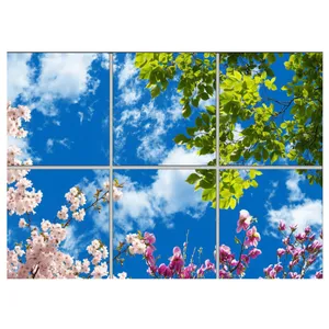 تایل سقفی آسمان مجازی مدل AZ32118 سایز 60*60 سانتی متر مجموعه 6 عددی