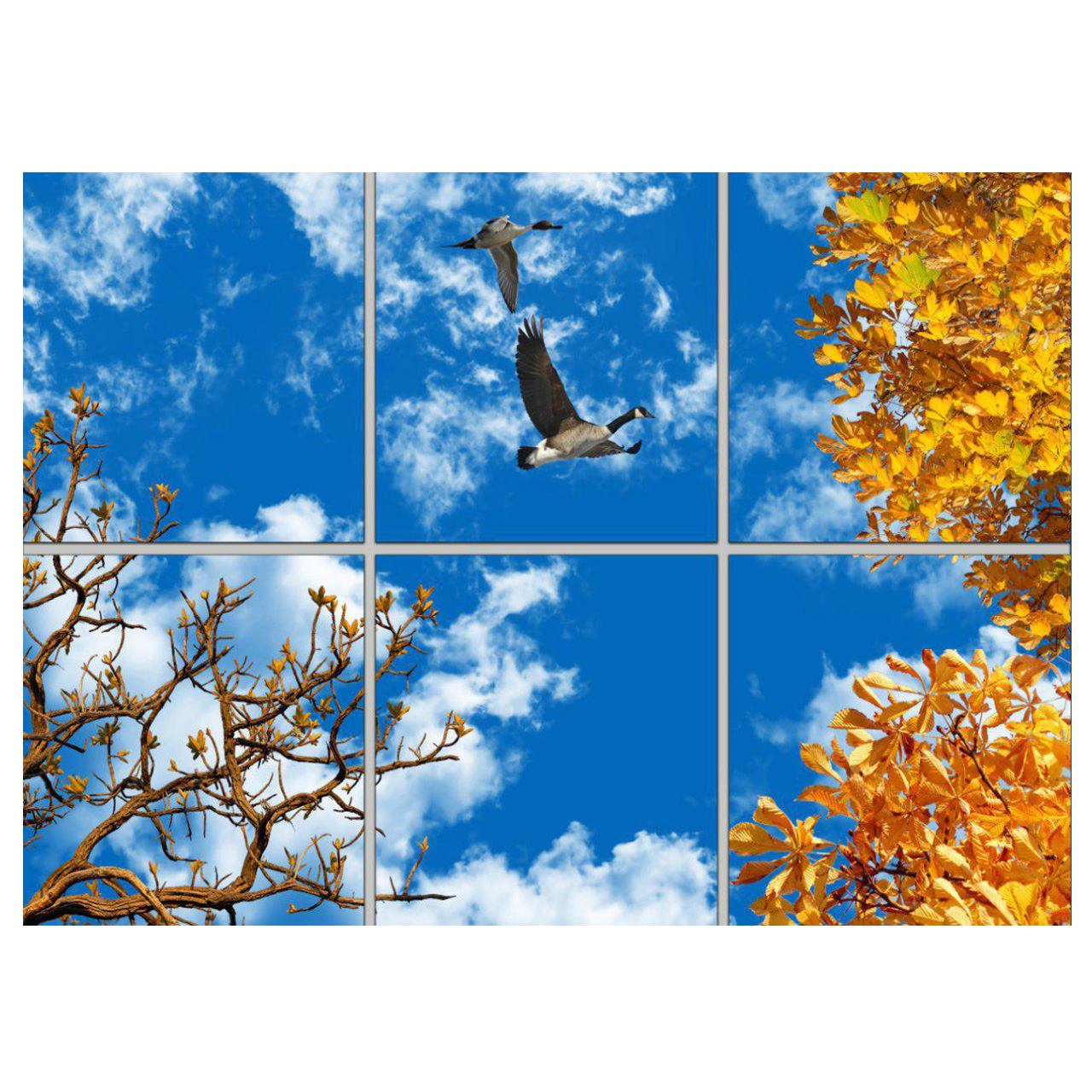 تایل سقفی آسمان مجازی مدل AZ32117 سایز 60*60 سانتی متر مجموعه 6 عددی