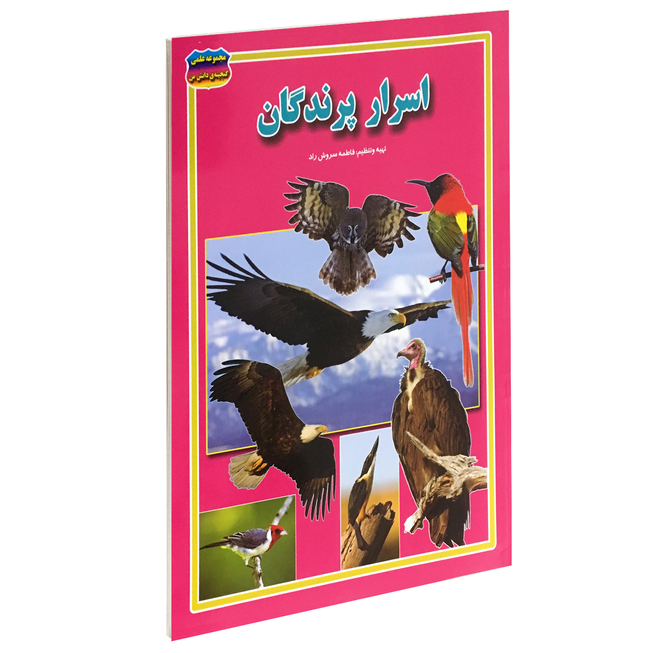 کتاب اسرار پرندگان اثر فاطمه سروش راد انتشارات حباب