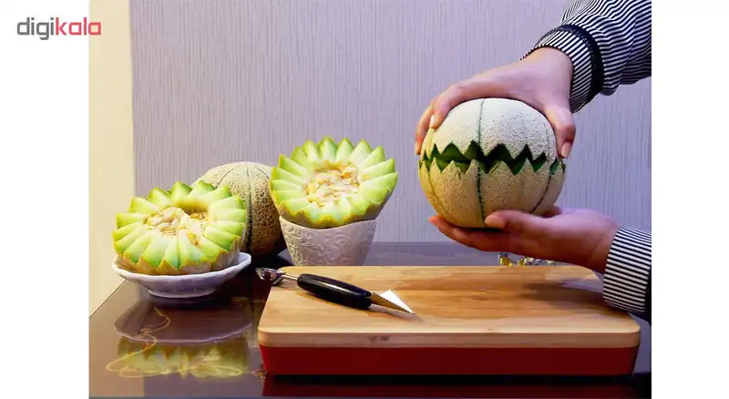 اسکوپ میوه راشن کد 39315