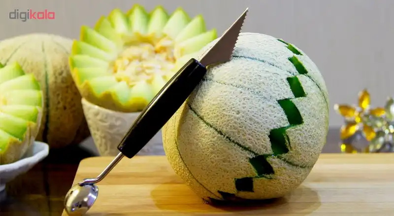 اسکوپ میوه راشن کد 39315