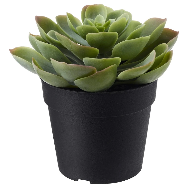 گلدان و گل مصنوعی ایکیا مدل FEJKA کد 00-953-703