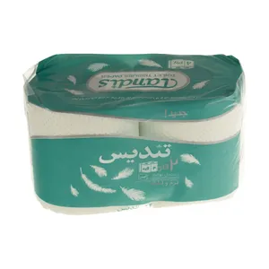 دستمال حوله کاغذی تندیس مدل Green بسته 2 عددی