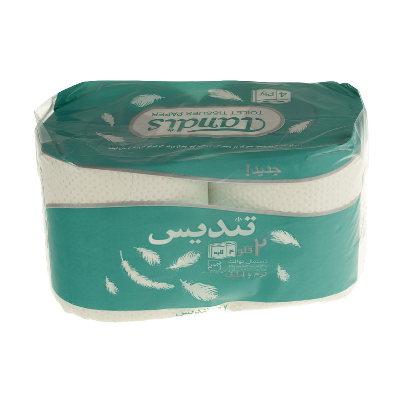 دستمال حوله کاغذی تندیس مدل Green بسته 2 عددی