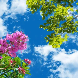 تایل سقفی آسمان مجازی مدل AZ005 سایز 60*60 سانتی متر