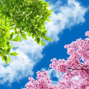 تایل سقفی آسمان مجازی مدل AZ006 سایز 60*60 سانتی متر
