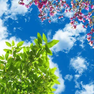 تایل سقفی آسمان مجازی مدل AZ011 سایز 60*60 سانتی متر