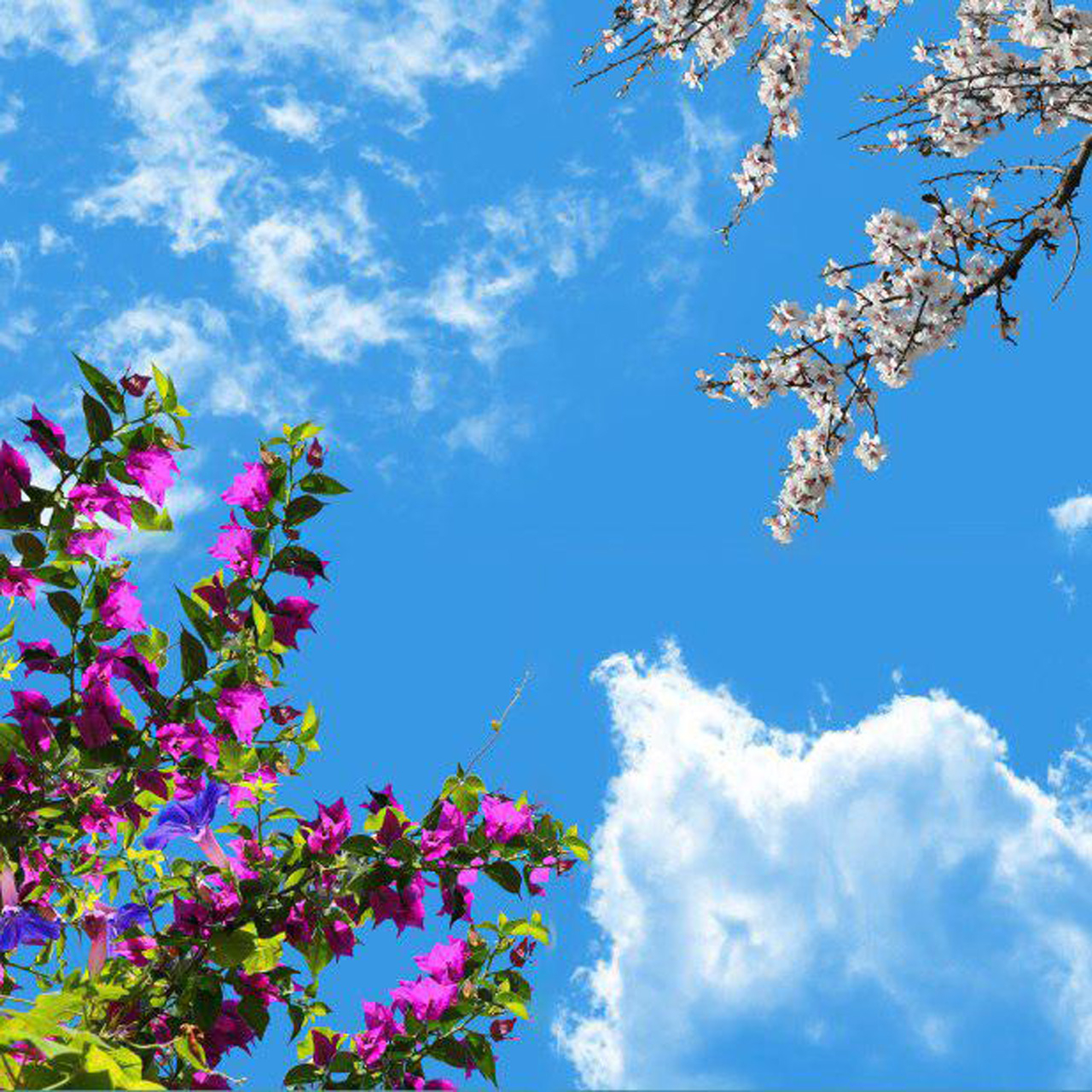 تایل سقفی آسمان مجازی مدل AZ018 سایز 60*60 سانتی متر