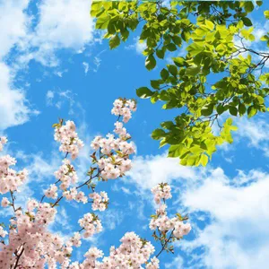 تایل سقفی آسمان مجازی مدل AZ020 سایز 60*60 سانتی متر