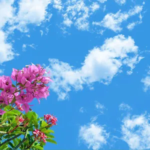 تایل سقفی آسمان مجازی مدل AZ021 سایز 60*60 سانتی متر