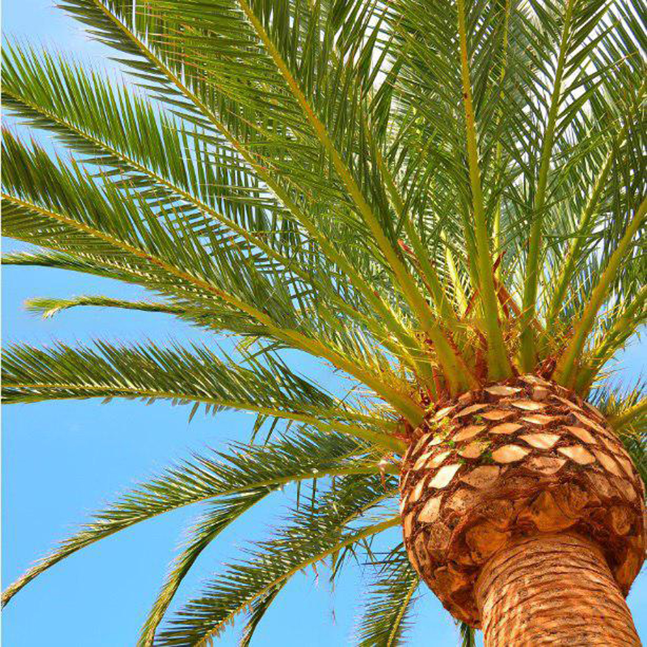تایل سقفی آسمان مجازی مدل AZ023 سایز 60*60 سانتی متر