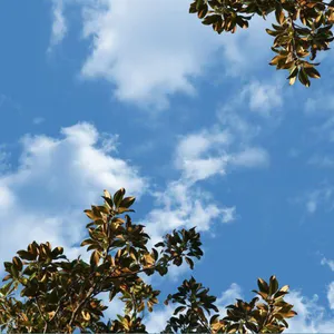 تایل سقفی آسمان مجازی مدل AZ024 سایز 60*60 سانتی متر