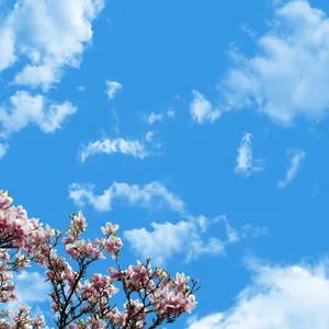 تایل سقفی آسمان مجازی مدل AZ028 سایز 60*60 سانتی متر