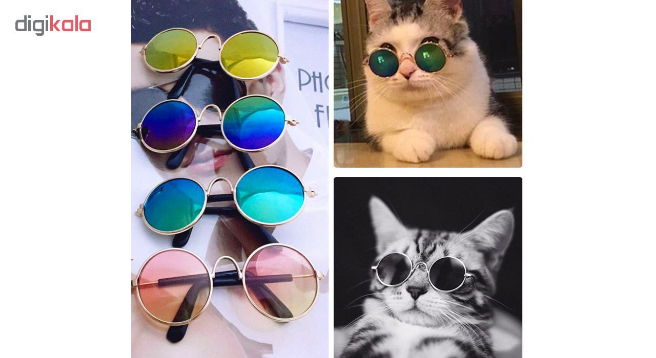 عینک آفتابی گربه مدل PC-CT1
