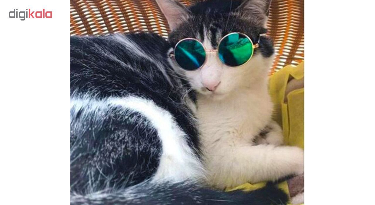 عینک آفتابی گربه مدل PC-CT1
