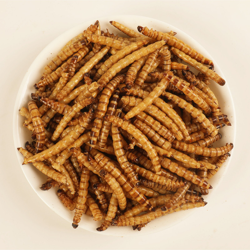 غذای تشویقی عروس هلندی ولکانو سوپرورم کد SWC70 وزن 70 گرم