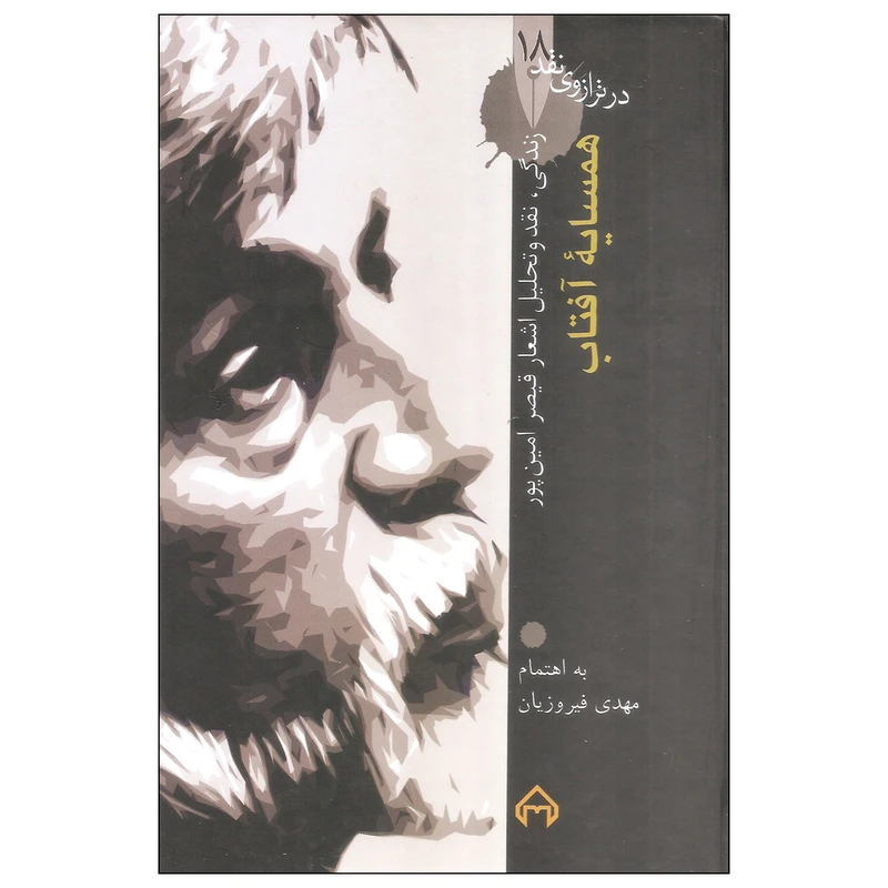 کتاب همسایه آفتاب اثر مهدی فیروزیان انتشارات سخن