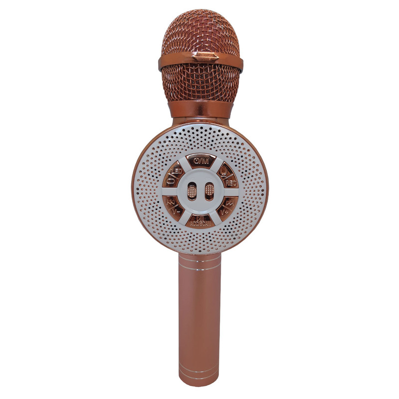 میکروفون اسپیکر مدل WS-669