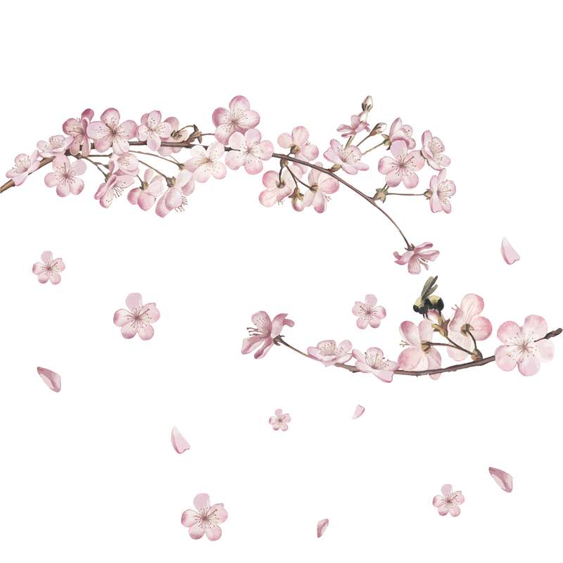 استیکر دیواری طرح شکوفه های بهاری کد 01 استیکر دیواری طرح شکوفه های بهاری کد 01