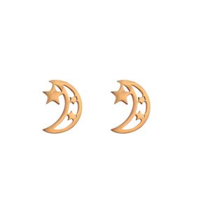 نقد و بررسی گوشواره زنانه طرح ماه و ستاره کد GO1133 توسط خریداران
