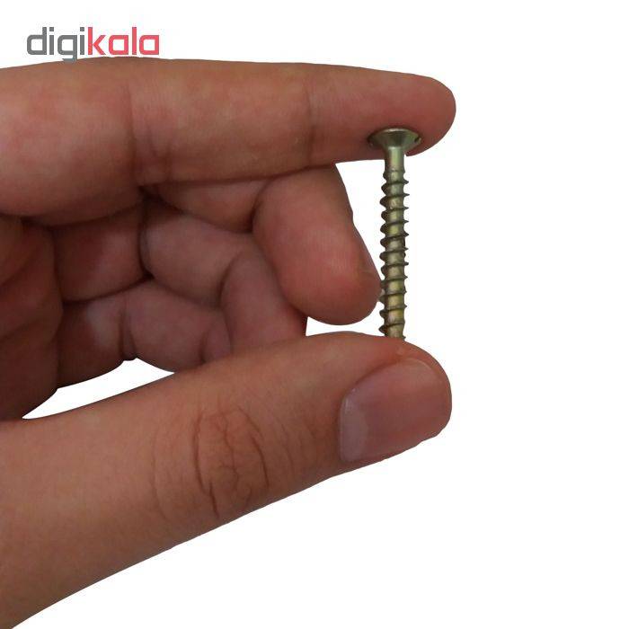 مجموعه 40 عددی میخ و رولپلاک مدل BD 1003028.42