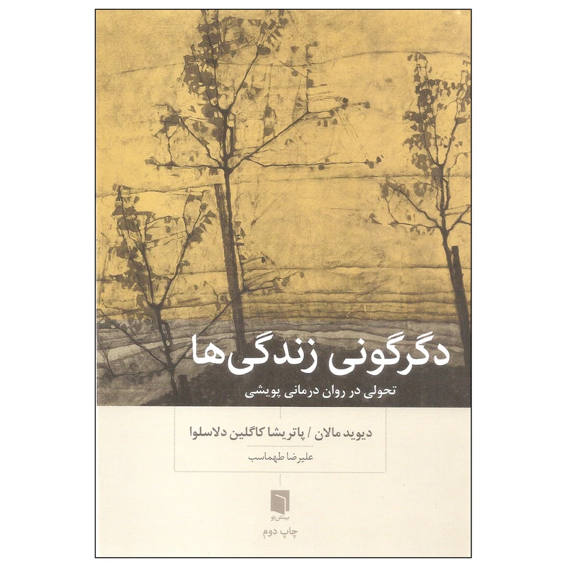کتاب دگرگونی زندگی ها اثر دیوید مالان و پاتریشا کاگلین دلاسلوا انتشارات بینش نو