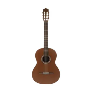 گیتار پارسی مدل M6