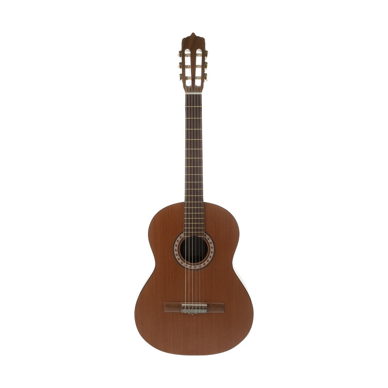 گیتار پارسی مدل M6