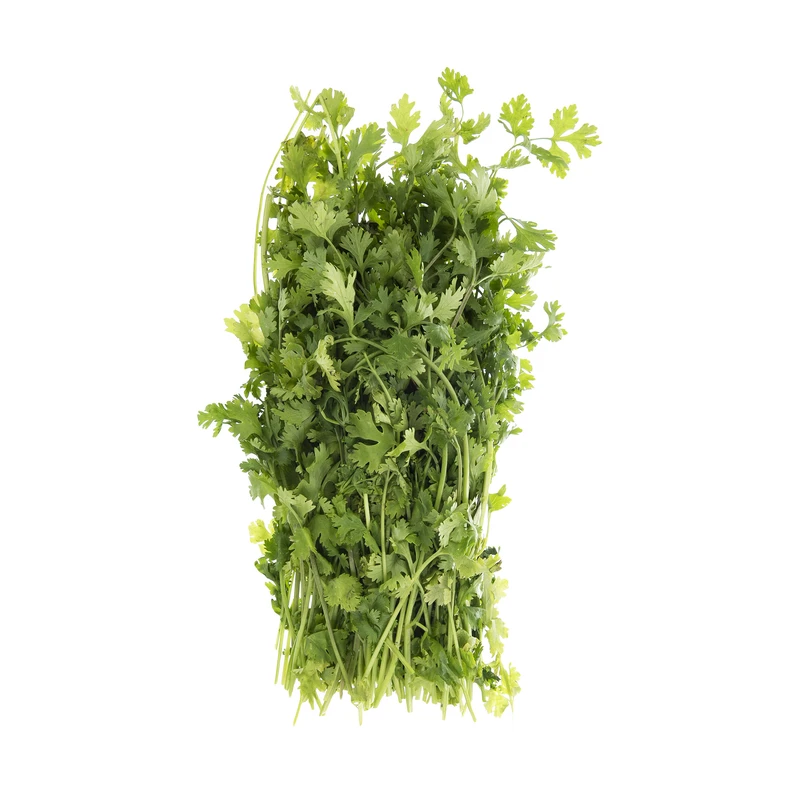 گشنیز دسته شده - 80 تا 100 گرم