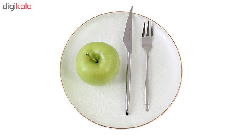 سرویس قاشق و چنگال 125 پارچه سولایتر مدل GO-237