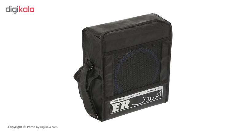 آمپلی فایر قابل حمل اکو روژان مدل RJ 55U
