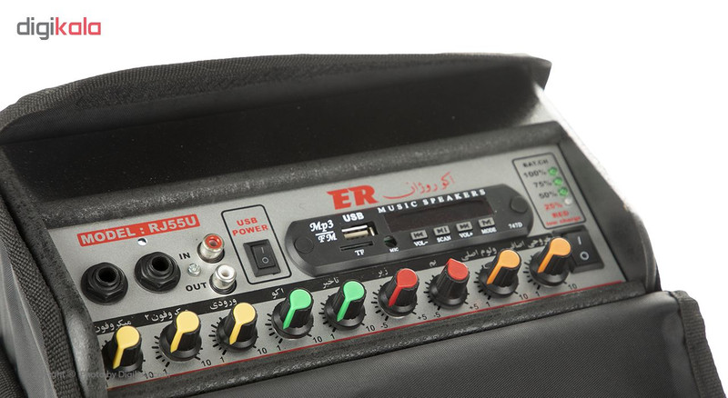 آمپلی فایر قابل حمل اکو روژان مدل RJ 55U