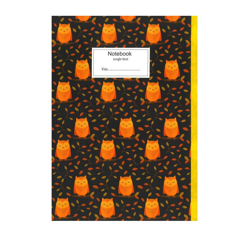 دفتر مشق 60 برگ  پاپکو مدل پرونوت کد PN-917611