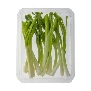 پیازچه آلاگون مقدار 150 گرم