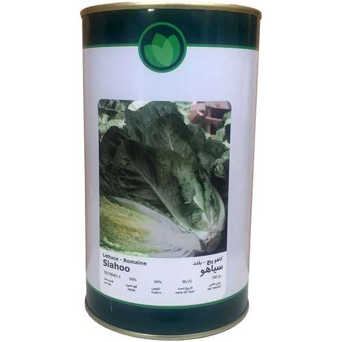 بذر کاهو پیچ فلات مدل سیاهو کد KFS-500g