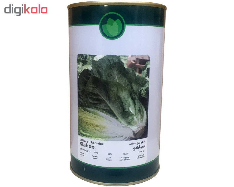 بذر کاهو پیچ فلات مدل سیاهو کد KFS-500g