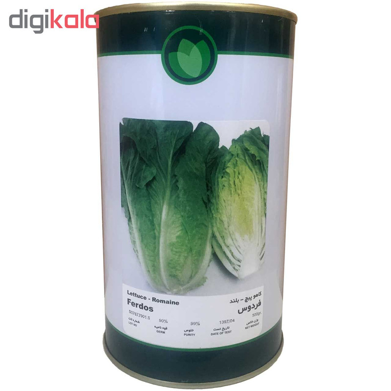 بذر کاهو فلات مدل فردوس کد KFF-500g