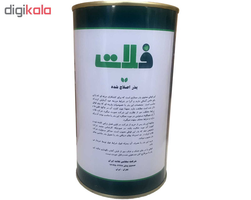 بذر کاهو فلات مدل فردوس کد KFF-500g