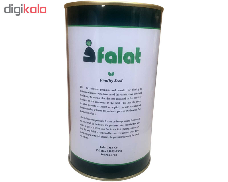 بذر کاهو فلات مدل فردوس کد KFF-500g