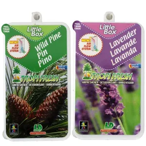 خوشبو کننده خودرو لیتل باکس مدل WPL2 مجموعه 2 عددی