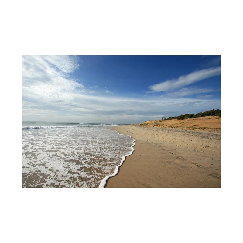 تابلو شاسی طرح ساحل کد 20126