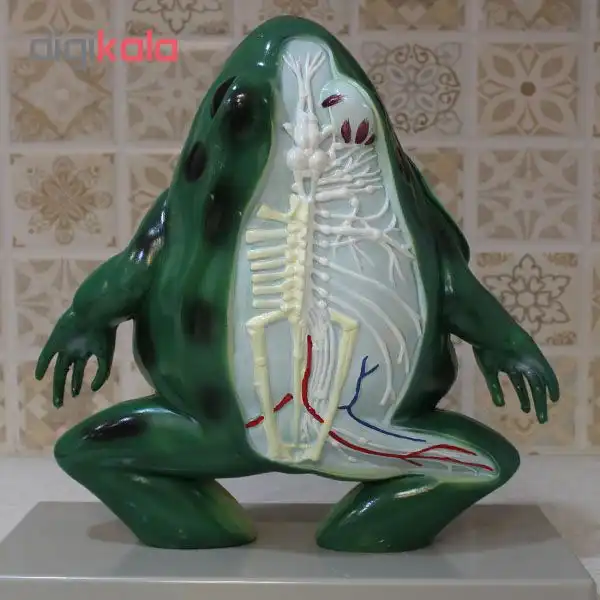 بازی آموزشی طرح قورباغه کد 83