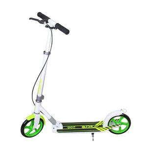اسکوتر میکرو کد S-200
