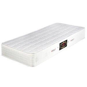 تشک مدل کلاسیک آیسان دو نفره سایز 200×160 سانتی متر
