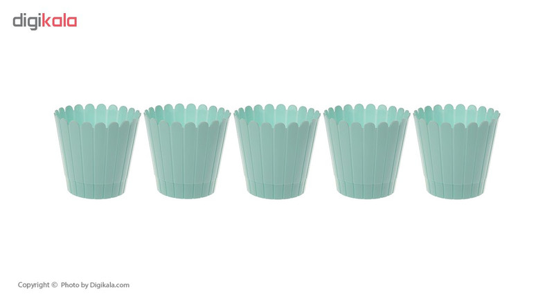 مجموعه 5 عددی گلدان مدل عتیق 01 ارتفاع 14 سانتی متر مجموعه 5 عددی گلدان مدل عتیق 01 ارتفاع 14 سانتی متر