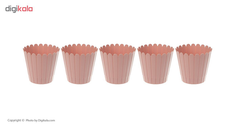 مجموعه 5 عددی گلدان مدل عتیق 01 ارتفاع 14 سانتی متر مجموعه 5 عددی گلدان مدل عتیق 01 ارتفاع 14 سانتی متر